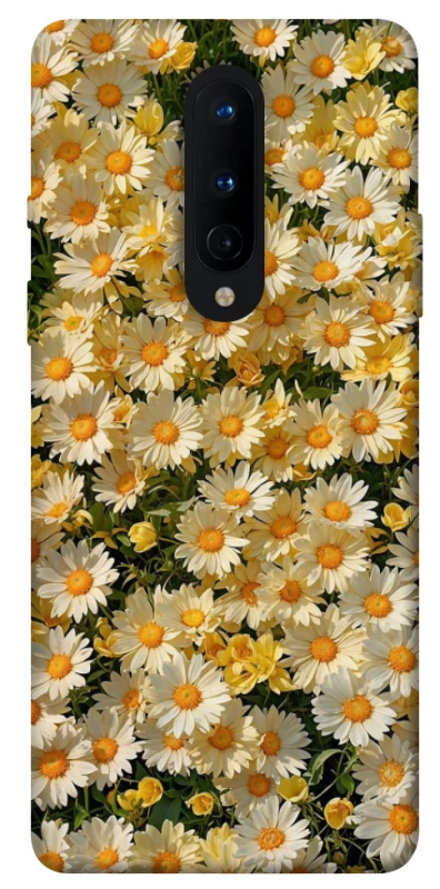 Чехол на OnePlus 8 Camomile фото 1 из 1