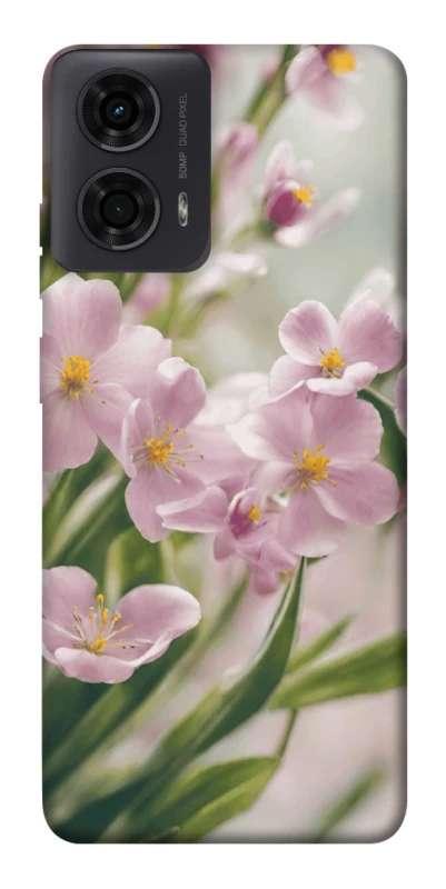 Чохол на Motorola Moto G04 Spring фото 1 з 1