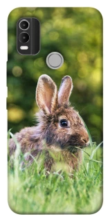 Чохол на Nokia C21 Plus Кролики фото 1 з 1