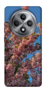 Чехол на Oppo Reno 12 F 4G Flowers v4 фото 1 из 1