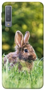 Чехол на Samsung A750 Galaxy A7 (2018) Кролики фото 1 из 1