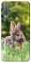 Чехол на Samsung A750 Galaxy A7 (2018) Кролики фото 1 из 1