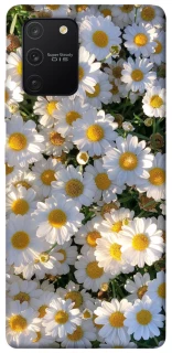 Чохол на Samsung Galaxy S10 Lite Поле ромашок фото 1 з 1