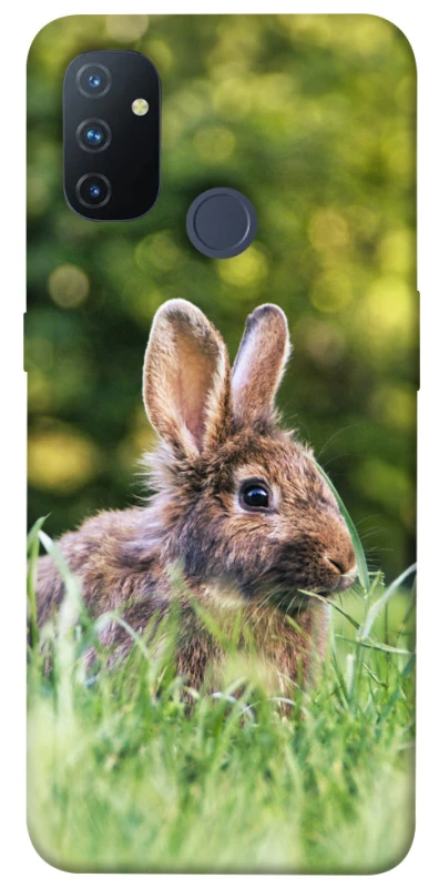 Чехол на OnePlus Nord N100 Кролики фото 1 из 1