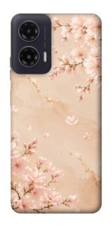 Чохол на Motorola Moto G35 Sakura ver.2 фото 1 з 1