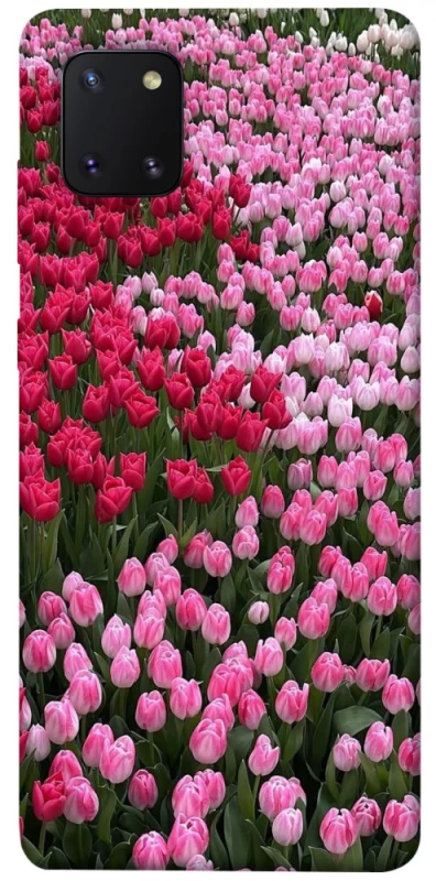 Чохол на Samsung Galaxy Note 10 Lite (A81) Flowers v9 фото 1 з 1
