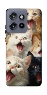 Чохол на Motorola Edge 50 Neo Коти фото 1 з 1