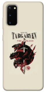 Чехол на Samsung Galaxy S20 House of the Dragon ver.4 фото 1 из 1