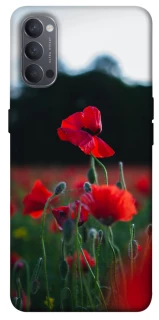 Чехол на Oppo Reno 4 Мак фото 1 из 1