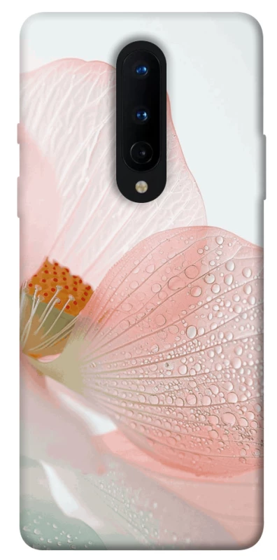 Чехол на OnePlus 8 Flowers zon фото 1 из 1