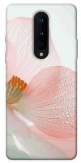 Чехол на OnePlus 8 Flowers zon фото 1 из 1