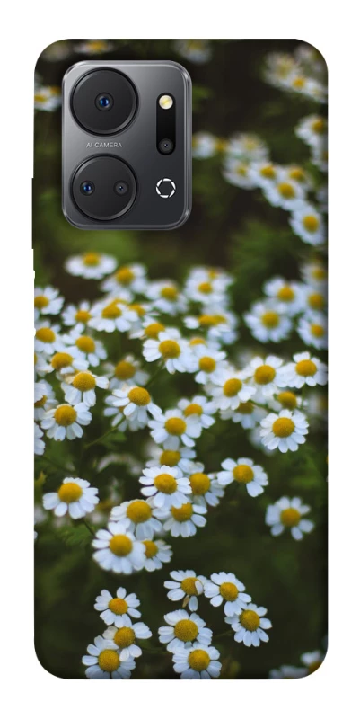 Чехол на Huawei Honor X7a Ромашки v13 фото 1 из 1