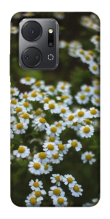 Чехол на Huawei Honor X7a Ромашки v13 фото 1 из 1
