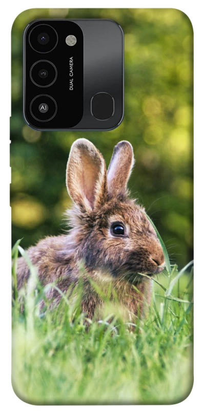 Чехол на TECNO Spark 8C Кролики фото 1 из 1
