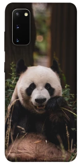 Чохол на Samsung Galaxy S20 Панда фото 1 з 1