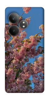 Чехол на Realme GT Neo 6 SE Flowers v4 фото 1 из 1