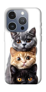 Чохол на Apple iPhone 16 Pro Гарні котики фото 1 з 1