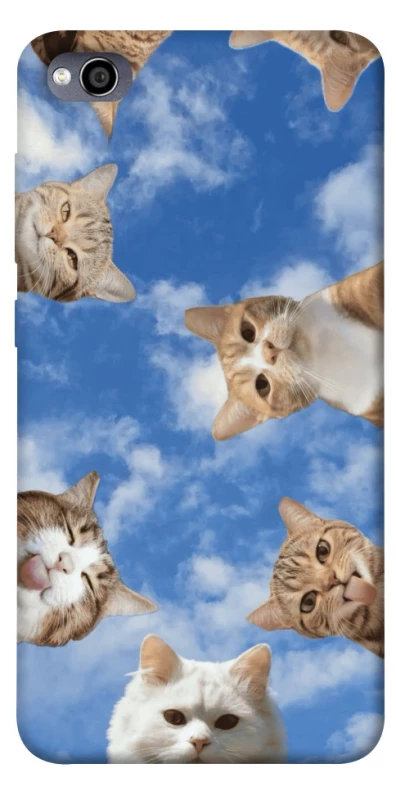 Чохол на Xiaomi Redmi 4a Сats фото 1 з 1