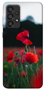 Чехол на Samsung Galaxy A33 5G Мак фото 1 из 1