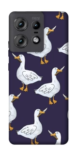 Чохол на Motorola Edge 50 Pro Гуси з претензією фото 1 з 1
