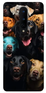Чохол на OnePlus 8 Собаки фото 1 з 1