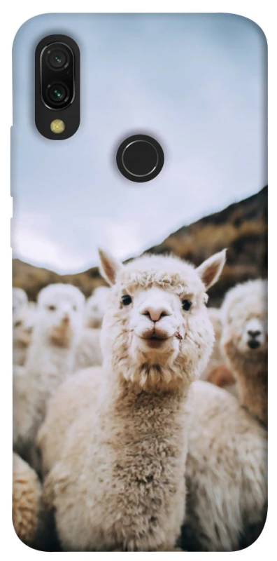 Чохол на Xiaomi Redmi 7 Лама фото 1 з 1