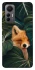 Чехол на Xiaomi 12 Lite Fox фото 1 из 1