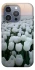 Чохол на Apple iPhone 16 Pro Max Flowers v1 фото 1 з 1