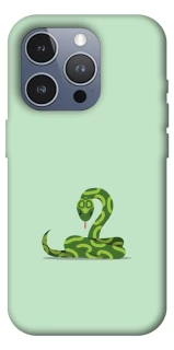 Чохол на Apple iPhone 16 Pro Max Змійка фото 1 з 1