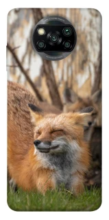 Чехол на Xiaomi Poco X3 NFC / Poco X3 Pro Лиса фото 1 из 1