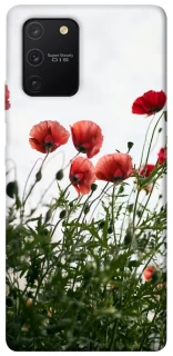 Чохол на Samsung Galaxy S10 Lite Поле маків фото 1 з 1