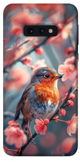 Чехол на Samsung Galaxy S10e Birdie фото 1 из 1