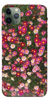 Чохол на Apple iPhone 11 Pro Max (6.5") Flowers v8 фото 1 з 1