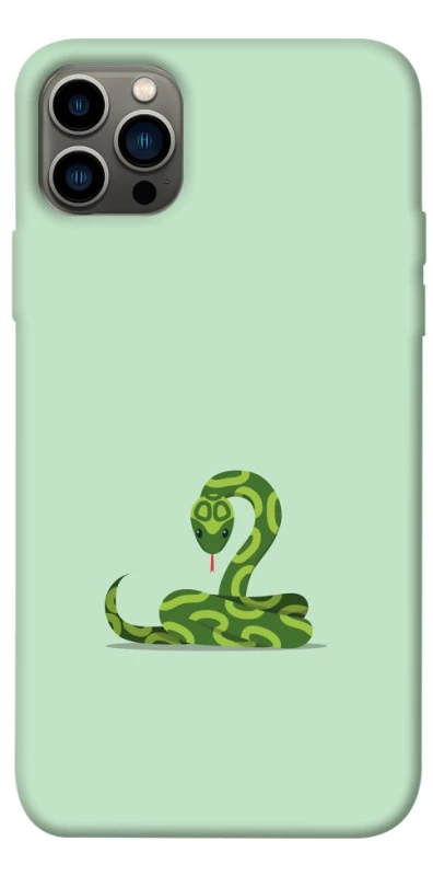 Чохол на Apple iPhone 12 Pro (6.1") Змійка фото 1 з 1
