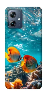 Чохол на Motorola Moto G54 Power Coral fish фото 1 з 1