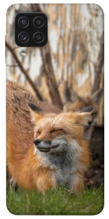 Чехол на Samsung Galaxy A22 4G Лиса фото 1 из 1