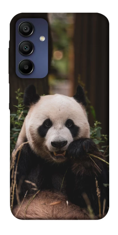 Чехол на Samsung Galaxy A15 4G/5G Панда фото 1 из 1