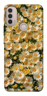Чехол на Motorola Moto E40 Camomile фото 1 из 1