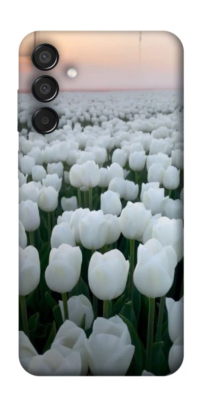 Чехол на Samsung Galaxy M15 5G Flowers v1 фото 1 Чехол на Samsung Galaxy M15 5G Flowers v1 фото 1 из 1