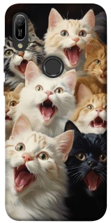 Чохол на Huawei Y6 (2019) Коти фото 1 з 1