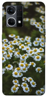 Чехол на Oppo Reno 7 4G Ромашки v13 фото 1 из 1