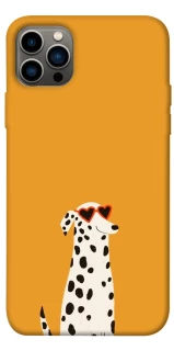 Чехол на Apple iPhone 12 Pro (6.1") Долматинец фото 1 из 1