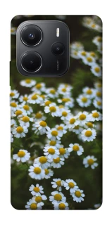 Чехол на Xiaomi Redmi Note 14 4G (Int. version) Ромашки v13 фото 1 из 1