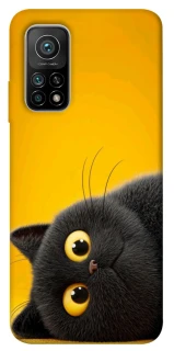 Чохол на Xiaomi Mi 10T This is Cat фото 1 з 1