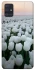 Чехол на Samsung Galaxy A51 Flowers v1 фото 1 Чехол на Samsung Galaxy A51 Flowers v1 фото 1 из 1