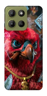 Чохол на Motorola Moto G15 4G Папуга фото 1 з 1