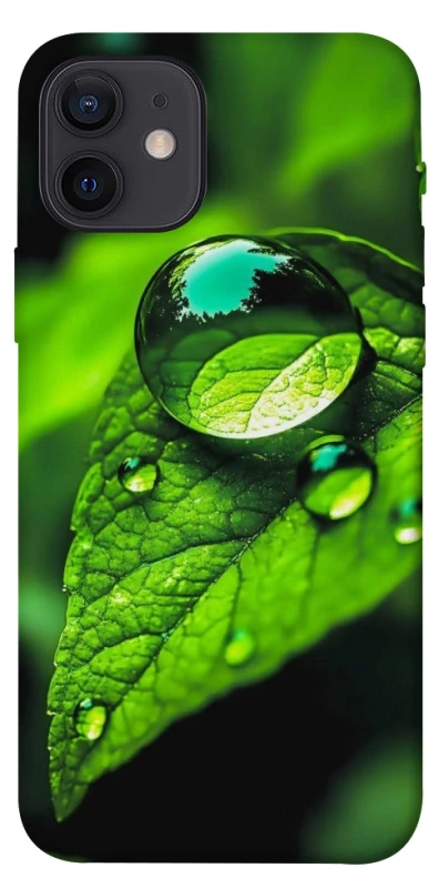 Чохол на Apple iPhone 12 (6.1") Flowers v16 фото 1 з 1