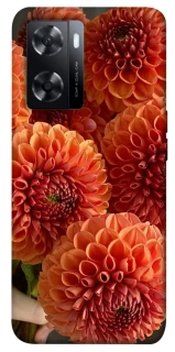 Чохол на Oppo A57s Flower1 фото 1 з 1