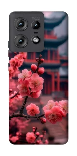 Чохол на Motorola Edge 50 Pro Flowers v29 фото 1 з 1