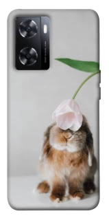 Чохол на OnePlus Nord N20 SE Bunny фото 1 з 1